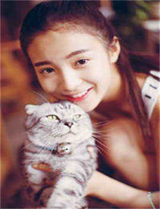 离线2012